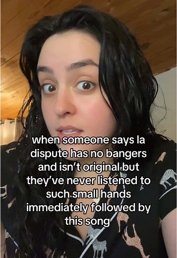 The Flawless Flow of La Dispute's Album Songs