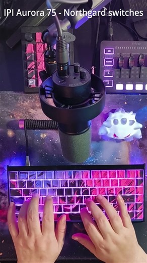 IPI Aurora 75 HE Northgard switches