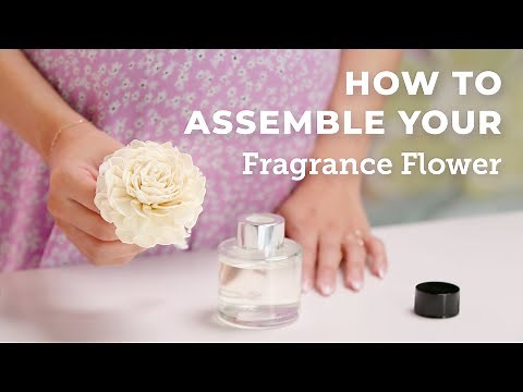 How to set up and style a Fragrance Flower | Scentsy