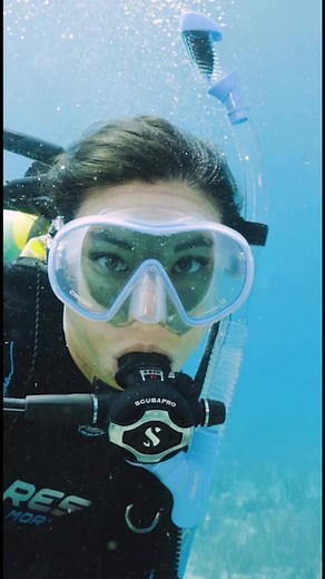 11K views · 170 reactions | We are so excited to finally share the...