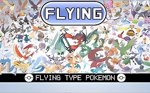 宝可梦属性排行第10名 两级分化的飞行系