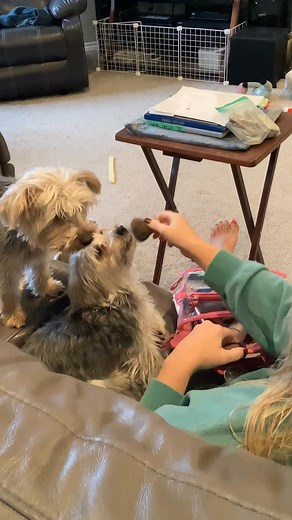 14 reactions | Murphy needs to look his best | Judith Jamison | Facebook