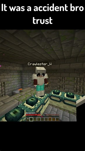 Glad Bro Didn't Overreact.. | Minecraft #minecraft #shorts #memes