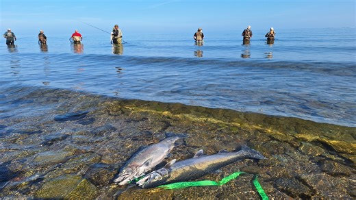 Ohio wildlife lottery opens for fishing and turkey hunts