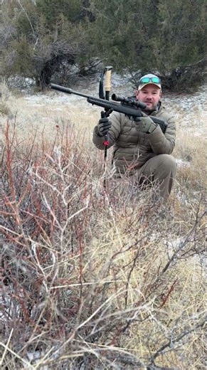 Why the Road Runner Rifle Rest Wins in Real Hunting Conditions