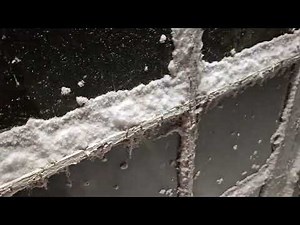 Bitley Mi snow storm of 11-26-25.