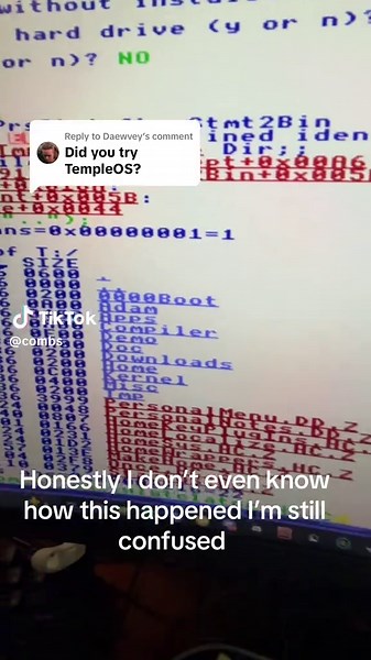 Exploring the Confusion of TempleOS and Linux