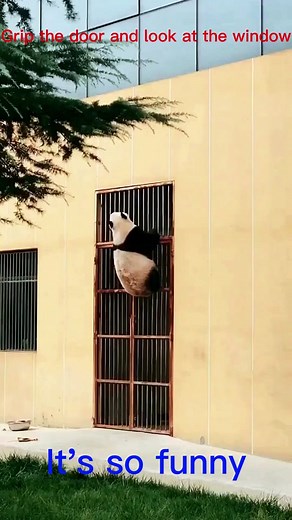 Pandalist0 on TikTok