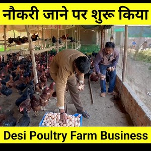 नौकरी जाने पर शहर छोड़ गांव में आकर शुरू किया Desi Poultry Farm | Desi Egg Farming Business #poultryfarming #desipoultryfarming #poultry | Sandhu Agrofarm