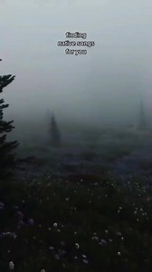 78K views · 4.5K reactions | Native song for you | Be a Native American | Facebook