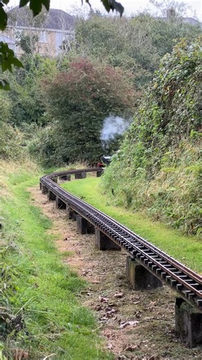 Lovely 5” Gauge Locomotive Class D49 from the Swansea Society of Model Engineers on the Pembrokeshir | Deirdre Mackenzie | Facebook