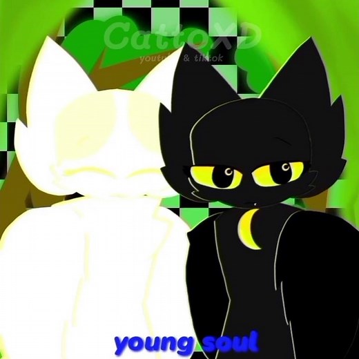| New soul 2 ( full version ) | #meowl #lyrics #memeanimation #alightmotion #animation #cat #furry