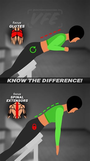 Vector Fitness Exercises | ❗️ BACK EXTENSION: SAME MACHINE — DIFFERENT PURPOSE Small technique change = completely different muscle focus 👇 1️⃣ HIP-DOMINANT VERSION... | Instagram