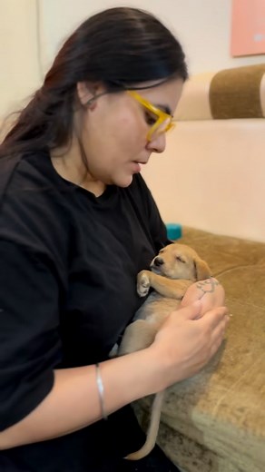 Support at 8826257357 ramneek1517@dbs Problems, criticism, barriers — sab face kiya, par main haar nahi manoongi .Main sirf seva hi nahi karti,main tuta hua bharosa dobara banane ki koshish kartee hoo Aur is raaste pe main akeli nahi — Rab, pyaar aur ye bachche mere saath hain ❤️🙏🐶 . Babaji sab ka bhala karna aap #puppy #puppies #puppylove #puppylovers #puppylife #dogmother #dogmom #dog #dogs #dogfood #doglife #doglover #doglovers #supportus #blessings #love #reels #viral #instareels #insta #i