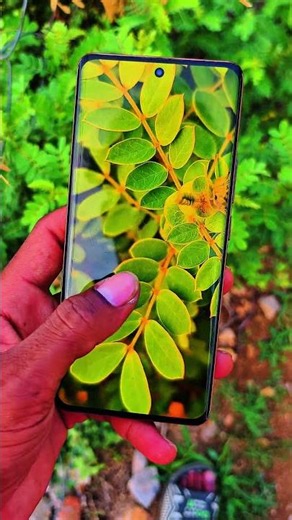 📸 Realme 11 Pro 5G Camera Photo Shoot Test 🔥