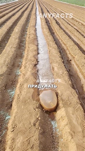 Умный полив своими руками #рецепты #агротехнологии #китай #садоводничество