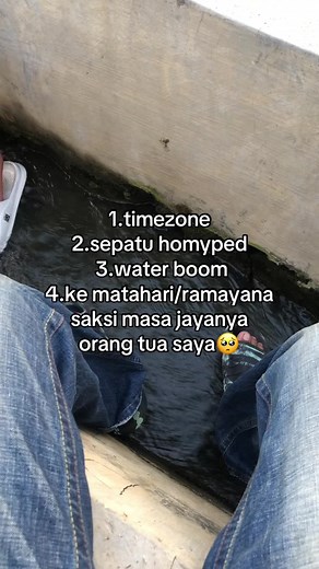 𝙬𝙚𝙝 𝙨𝙚𝙙𝙙 (@sedd.co)’s videos with som original - Maximoff's version