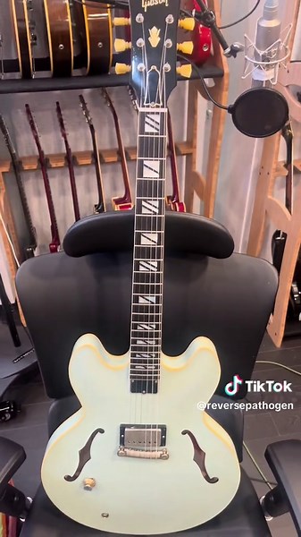 Exploring My Guitar Collection: Part 1