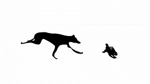 Greyhound Dog Chasing Rabbit Seamless Loop Stock Footage Video (100% Royalty-free) 1007489557 | Shutterstock