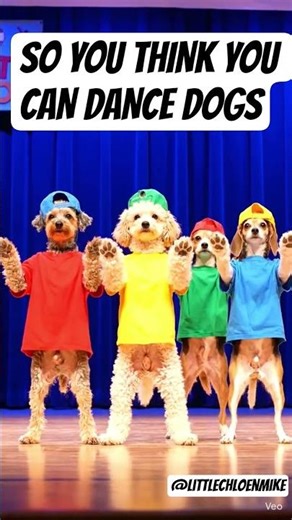 Dogs Line Dancing #pets #funny #dogs #dogshorts