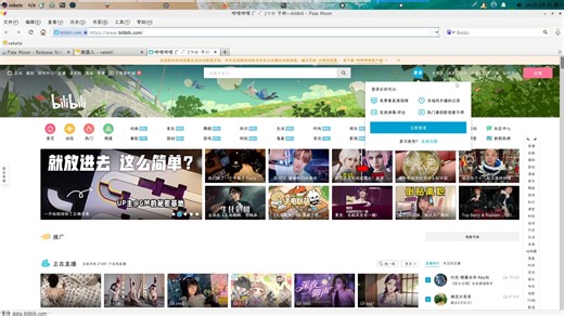 火狐优化版PaleMoon浏览器,苍月浏览器零广告、无遥测、不收集用户数据
