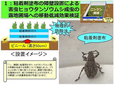 物理的防除および生物的防除資材を利用した環境保全型農業の実践（みどり戦略学生チャレンジ＿千葉県立農業大学校 病害虫専攻教室）