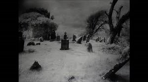MY SECRET GARDEN Lyrics - MEMENTO MORI | eLyrics.net