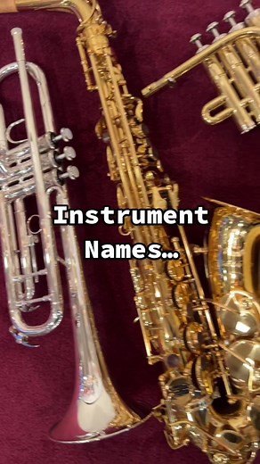 Absolute Music on TikTok