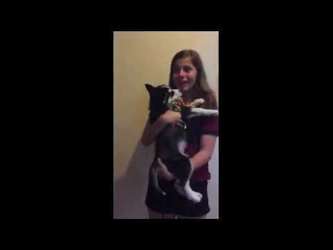 Mom Surprises Daughter With Husky Puppy