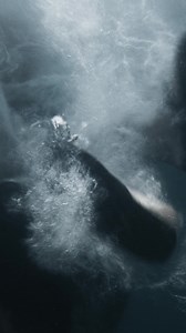 An extraordinary true story, based on the New York Times best-seller. Not Without Hope is in select theatres December 12. | Cineplex