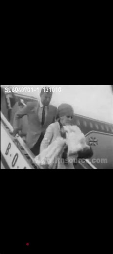 Dusty Springfield on TikTok