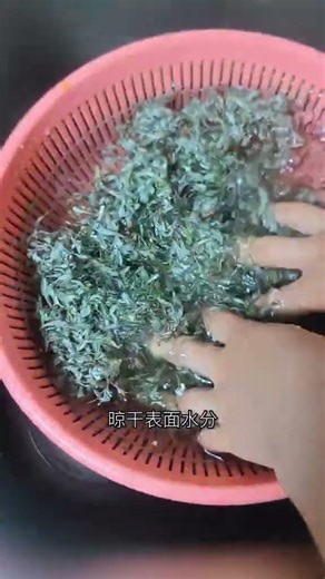 Ultimate Guide: Brew Perfect Wormwood Tea - Just a Handful