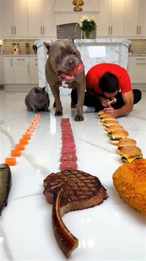 Burger Line Race to the Chicken 🍗🔥 #ytshorts #shortsfeed