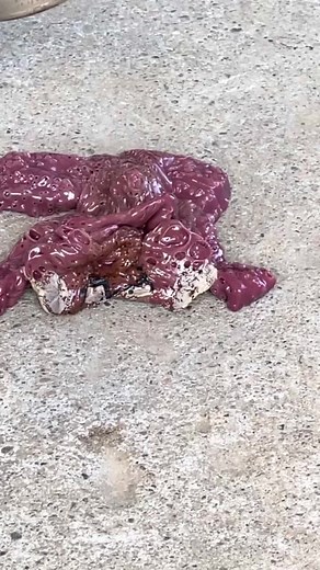 Transforming Toy Figure: A Step-by-Step Guide