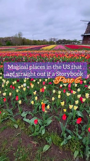 Exploring Dutch Heritage in Holland, Michigan