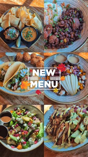 New fall flavors have arrived at the Top Hat 🍁 Cozy up with dishes like the Chicken Shawarma Bowl and Chickpea & Butternut Squash Salad — made fresh from scratch and full of flavor. Find your new favorite and check out the full menu at tophatlounge.com | The Top Hat