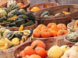 Weekend Events In Monmouth County: Oct. 9-11