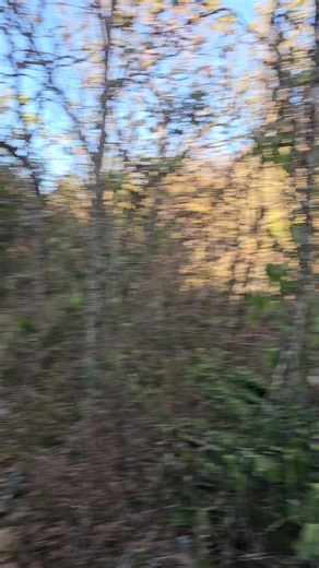 #flyp #Viral #trendin