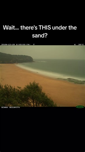 In 2020 we installed a timelapse camera on a Sydney beach with a single set of AA batteries to record the beach changes. We came back a year later and this is what was captured... @UNSW #interestingfacts #didyouknow #sciencetok #timelapse #natureiswild