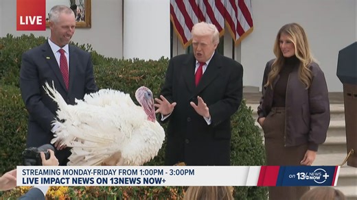 Trump holds annual turkey pardoning ceremony