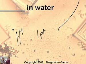 Intro to Chemistry: 10.1 Introduction to Acids and Bases (2/2)