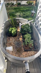 Set up a quick bog filteplanter