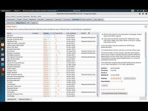 Burp Suite 2: Adding Extensions