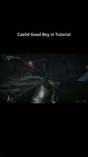 Elden Ring #gaming #eldenring #randomizer