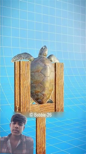 #animals #pets #facts