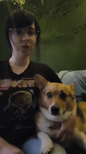 #aliens #conspiracytiktok