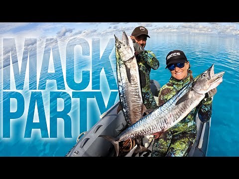 What we do with all our fish!? Back in the groove of Boatlife (Sailing Popao) Ep.69