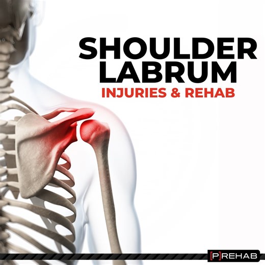 THE SHOULDER LABRUM - for more information on shoulder labrum rehab, check out our blog article: https://theprehabguys.com/shoulder-labrum-rehab/ The shoulder as well as the hip both have a labrum, which is a fibrocartilaginous ring that deepens the socket and adds stability to the joints. In comparison to the hip, the shoulder tends to have a higher likelihood of labrum and instability related injuries. Reason being is that the hip has what we like to call a "nice bony fit", one in which the he