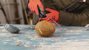 No Spoon? No Problem! Just Grab a Coconut and Make Your Own Spoon!😎 | 5-Minute MAGIC