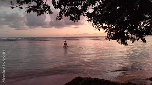 Fantastic drone shot through a tree towards a woman wading through beach waters during a beautiful sunset
